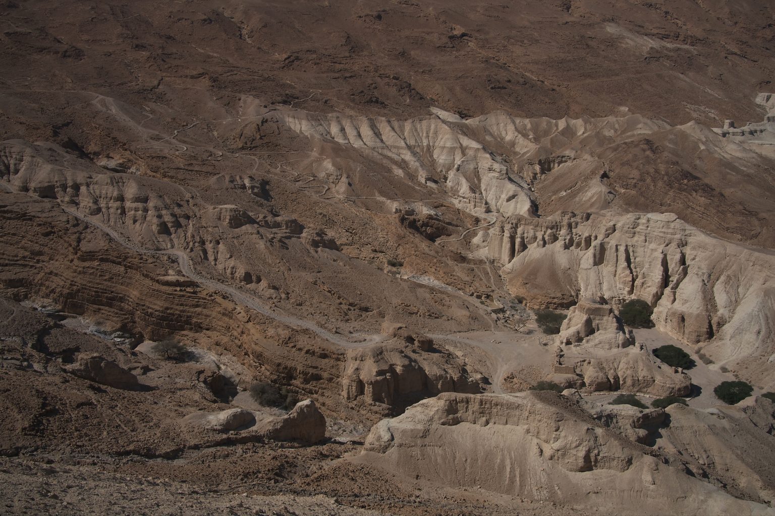 250316 19 Dead Sea 6469