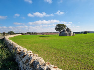 יהודה סובול. צלם